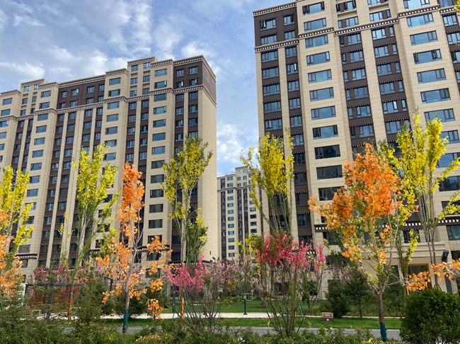 [西藏]拉萨碧桂园