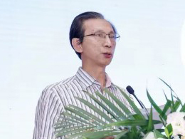 住房和城乡建设部总经济师杨保军