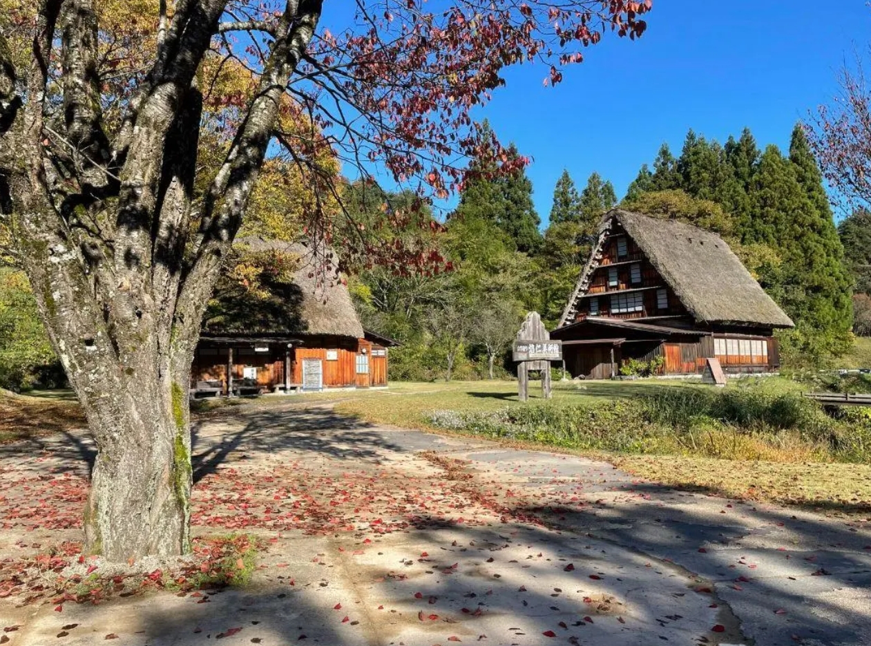 乡村活化与可持续发展项目——白川乡合掌屋传统木造建筑