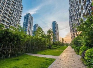 商城·荷塘月色